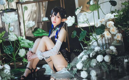 《明日方舟》Tomoyo酱「夜半.夏卉」泳装旗袍-Cosplay展现性感完美的身姿