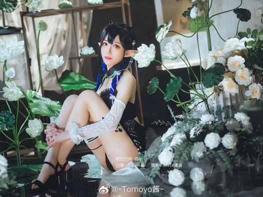 《明日方舟》Tomoyo酱「夜半.夏卉」泳装旗袍-Cosplay展现性感完美的身姿